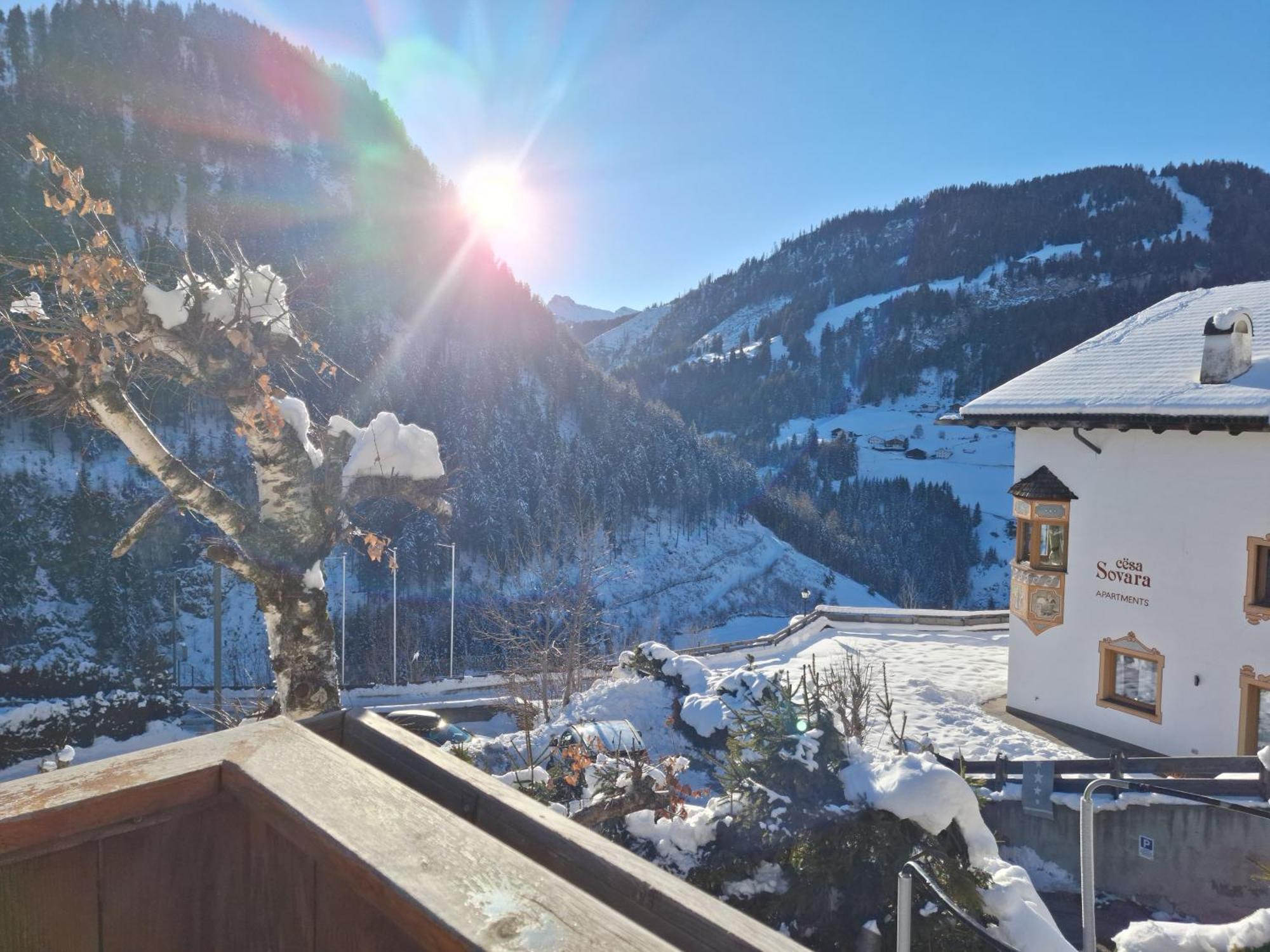 Apartments Insam Santa Cristina Val Gardena エクステリア 写真