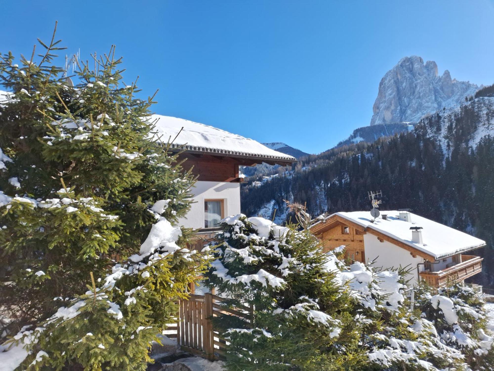 Apartments Insam Santa Cristina Val Gardena エクステリア 写真